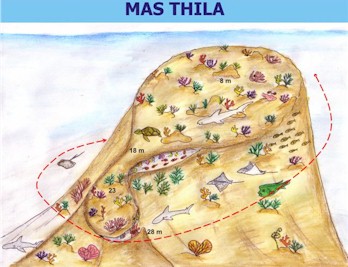 Mas Thila